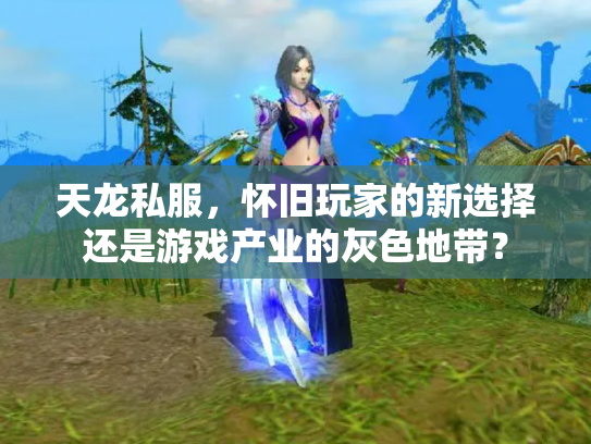 天龙私服，怀旧玩家的新选择还是游戏产业的灰色地带？