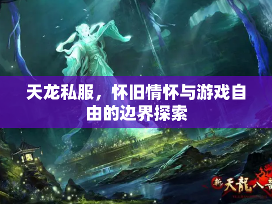 天龙私服，怀旧情怀与游戏自由的边界探索