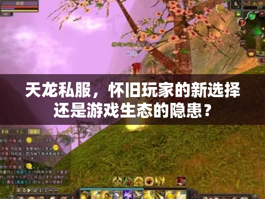 天龙私服，怀旧玩家的新选择还是游戏生态的隐患？
