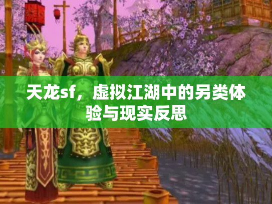 天龙sf，虚拟江湖中的另类体验与现实反思