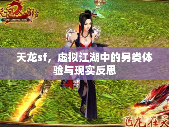 天龙sf，虚拟江湖中的另类体验与现实反思