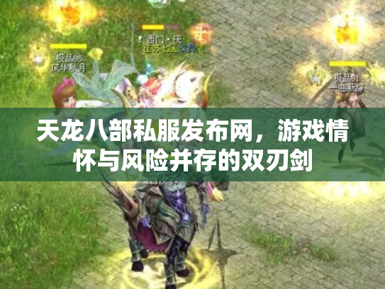 天龙八部私服发布网，游戏情怀与风险并存的双刃剑