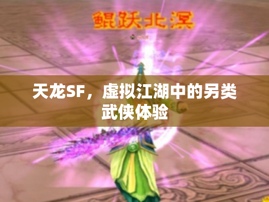 天龙SF，虚拟江湖中的另类武侠体验