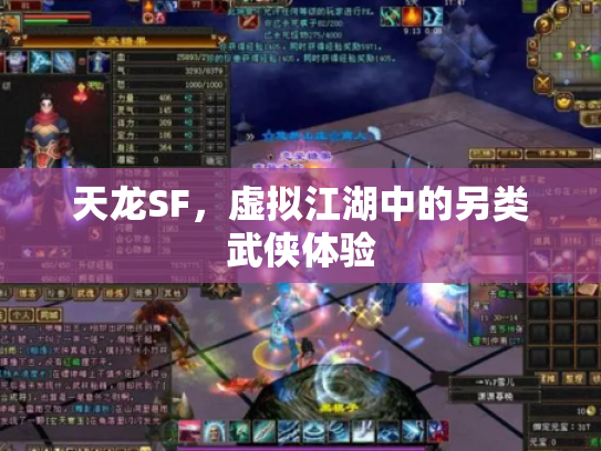 天龙SF，虚拟江湖中的另类武侠体验