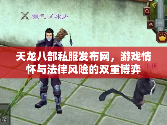天龙八部私服发布网，游戏情怀与法律风险的双重博弈