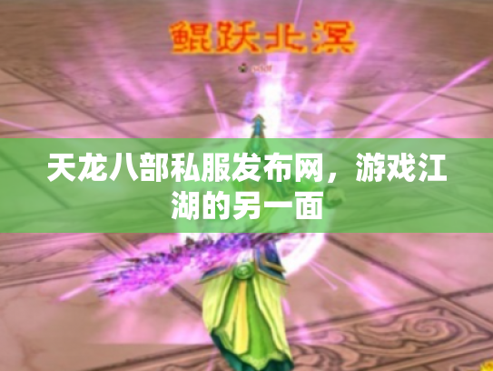 天龙八部私服发布网，游戏江湖的另一面
