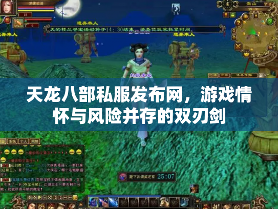 天龙八部私服发布网，游戏情怀与风险并存的双刃剑