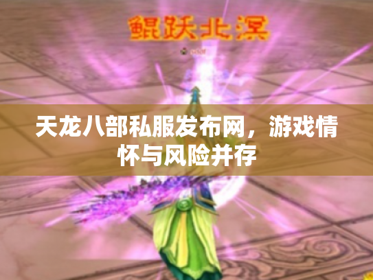 天龙八部私服发布网，游戏情怀与风险并存