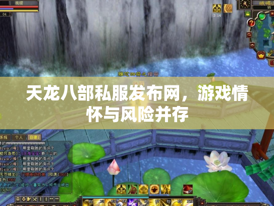 天龙八部私服发布网，游戏情怀与风险并存