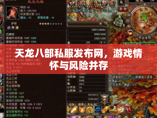 天龙八部私服发布网，游戏情怀与风险并存
