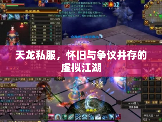 天龙私服，怀旧与争议并存的虚拟江湖