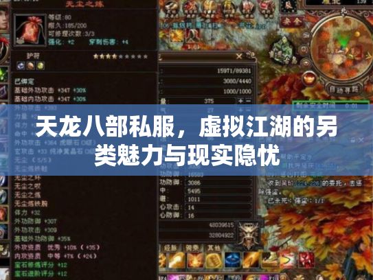 天龙八部私服，虚拟江湖的另类魅力与现实隐忧