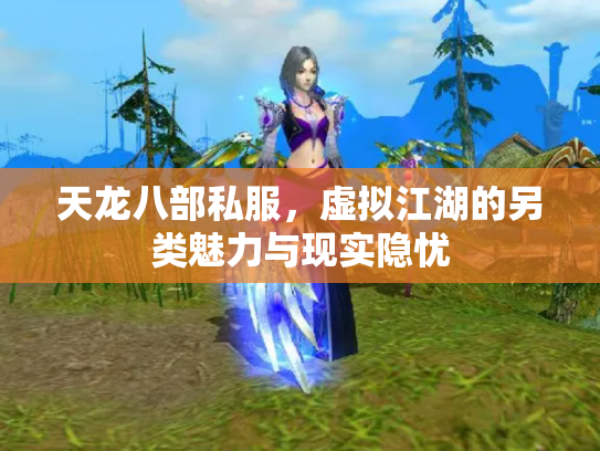 天龙八部私服，虚拟江湖的另类魅力与现实隐忧