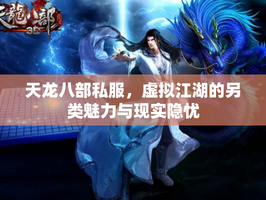 天龙八部私服，虚拟江湖的另类魅力与现实隐忧