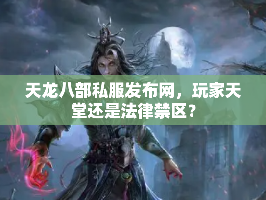 天龙八部私服发布网，玩家天堂还是法律禁区？