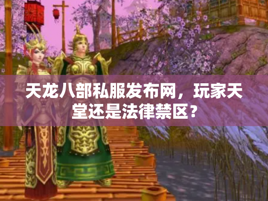 天龙八部私服发布网，玩家天堂还是法律禁区？