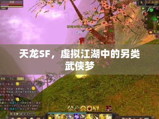 天龙SF，虚拟江湖中的另类武侠梦