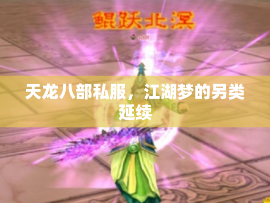 天龙八部私服，江湖梦的另类延续