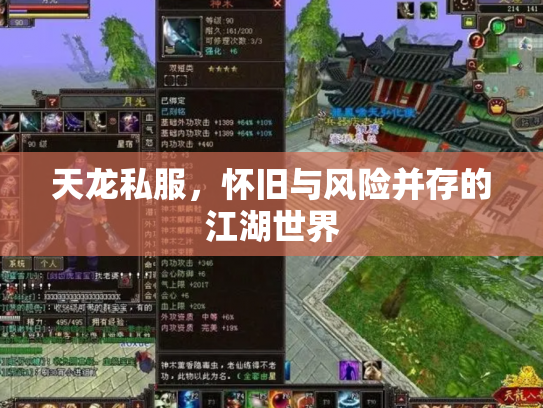 天龙私服，怀旧与风险并存的江湖世界