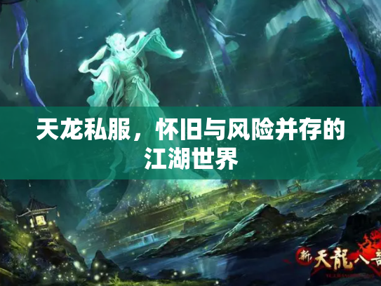 天龙私服，怀旧与风险并存的江湖世界