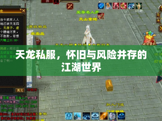 天龙私服，怀旧与风险并存的江湖世界