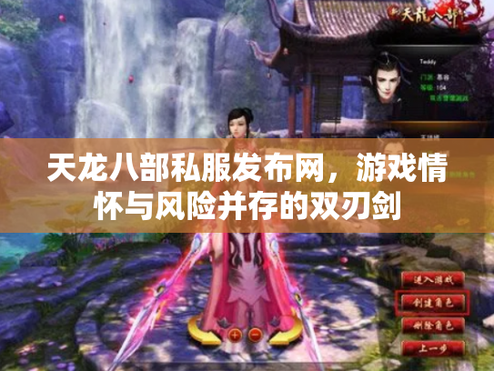 天龙八部私服发布网，游戏情怀与风险并存的双刃剑