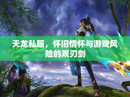 天龙私服，怀旧情怀与游戏风险的双刃剑
