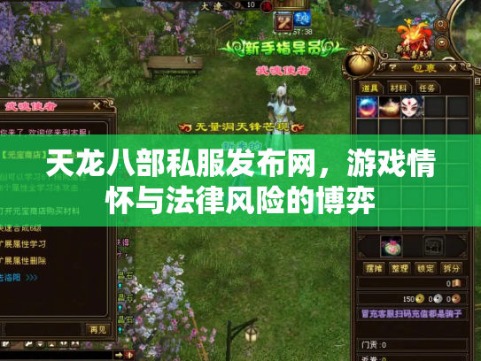 天龙八部私服发布网，游戏情怀与法律风险的博弈