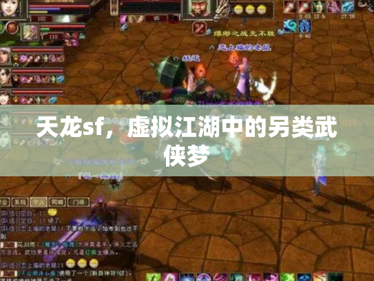 天龙sf，虚拟江湖中的另类武侠梦