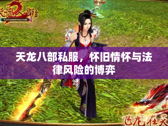 天龙八部私服，怀旧情怀与法律风险的博弈