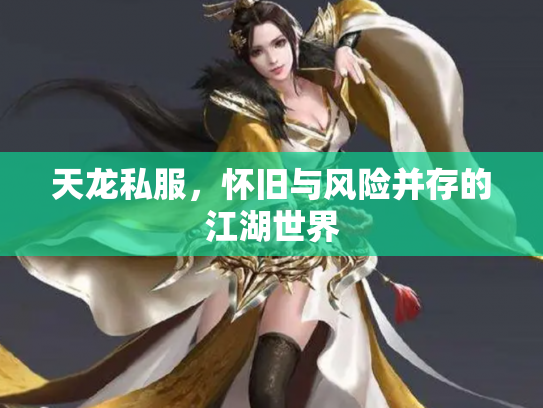 天龙私服，怀旧与风险并存的江湖世界