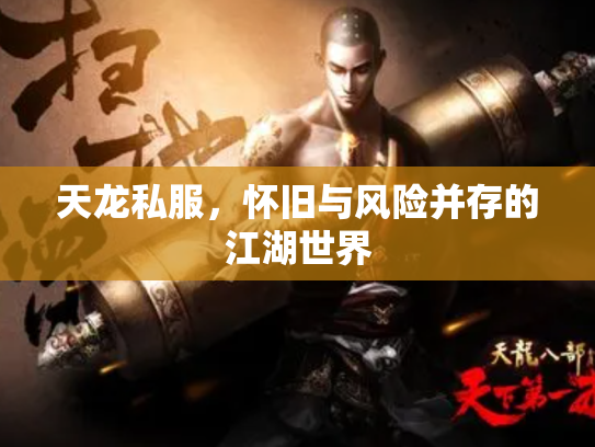 天龙私服，怀旧与风险并存的江湖世界