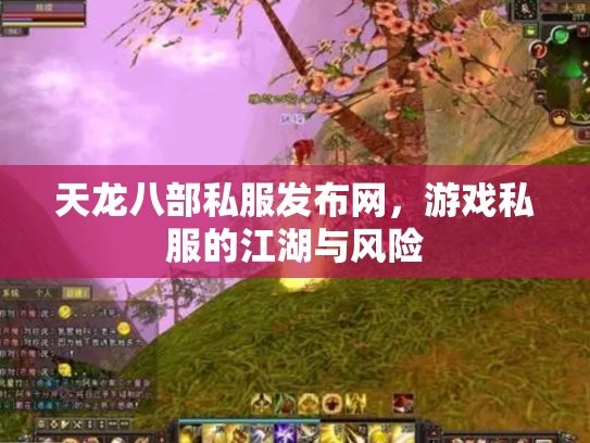 天龙八部私服发布网，游戏私服的江湖与风险