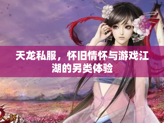 天龙私服，怀旧情怀与游戏江湖的另类体验