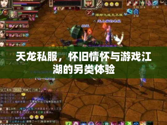 天龙私服，怀旧情怀与游戏江湖的另类体验