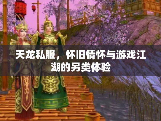 天龙私服，怀旧情怀与游戏江湖的另类体验