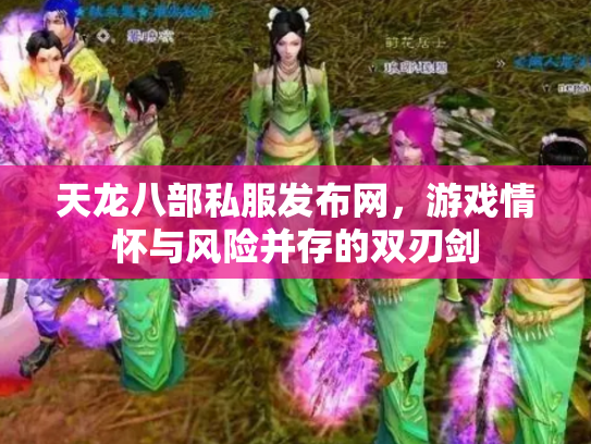 天龙八部私服发布网，游戏情怀与风险并存的双刃剑