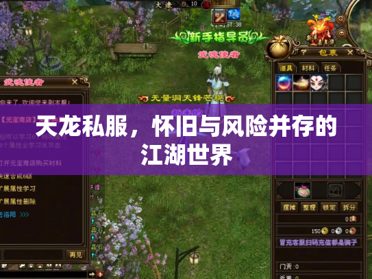天龙私服，怀旧与风险并存的江湖世界