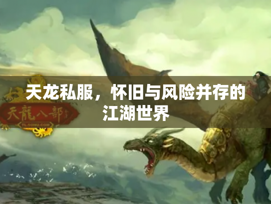 天龙私服，怀旧与风险并存的江湖世界