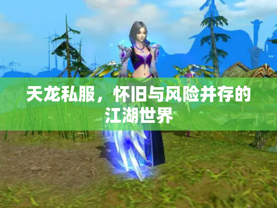 天龙私服，怀旧与风险并存的江湖世界