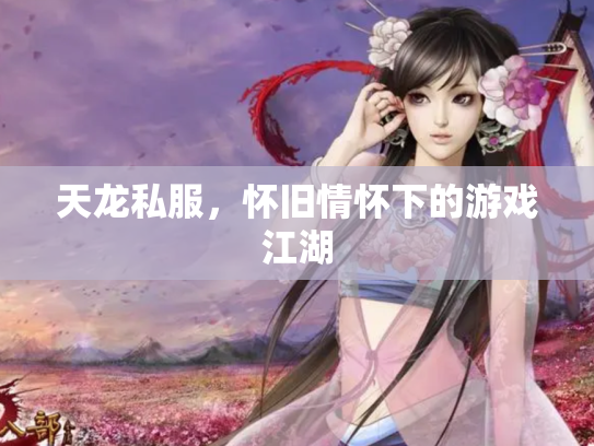 天龙私服，怀旧情怀下的游戏江湖
