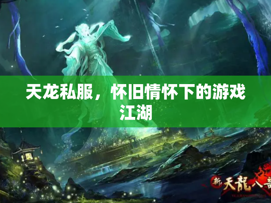 天龙私服，怀旧情怀下的游戏江湖