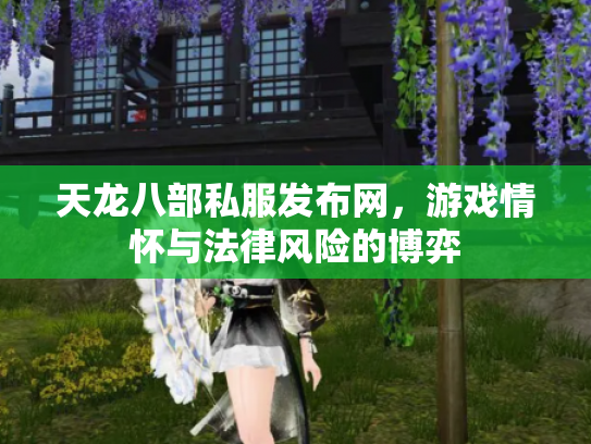 天龙八部私服发布网，游戏情怀与法律风险的博弈