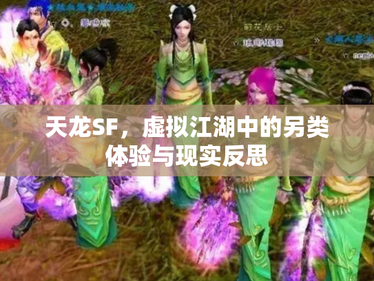 天龙SF，虚拟江湖中的另类体验与现实反思