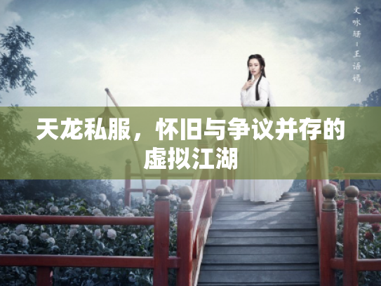 天龙私服，怀旧与争议并存的虚拟江湖