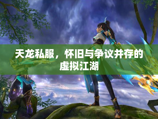 天龙私服，怀旧与争议并存的虚拟江湖