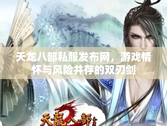 天龙八部私服发布网，游戏情怀与风险并存的双刃剑