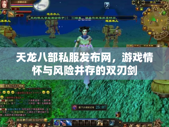 天龙八部私服发布网，游戏情怀与风险并存的双刃剑