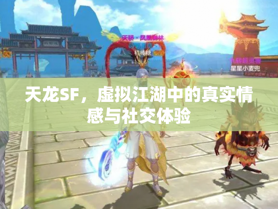 天龙SF，虚拟江湖中的真实情感与社交体验