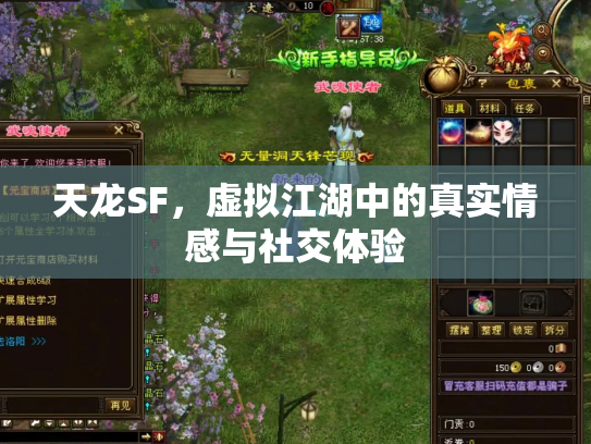 天龙SF，虚拟江湖中的真实情感与社交体验